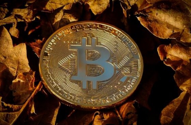 &#20048;&#21160;&#32593;&#39029;&#29256;&#30331;&#24405;&#20837;&#21475;&#45;&#20048;&#21160;&#40;&#20013;&#22269;&#41;